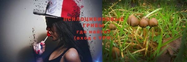 спиды Костерёво