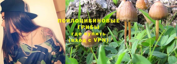 спиды Костерёво