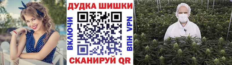 Купить закладки  Дальнегорск  Шишки марихуана индика 